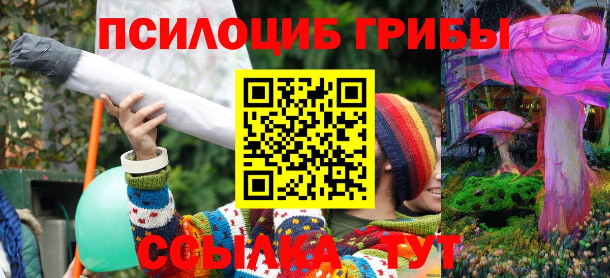 Каспийск  Галлюциногенные грибы мухоморы  Вход с VPN  Псилоцибиновые грибы Magic Shrooms 