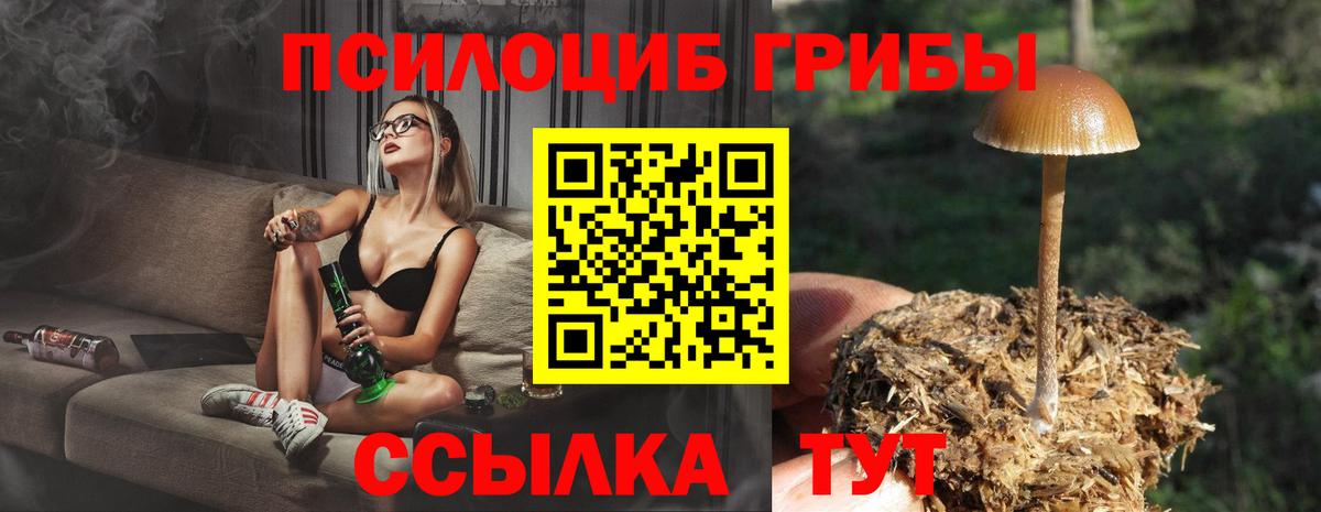 Псилоцибиновые грибы Psilocybine cubensis Каспийск